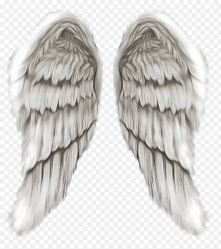 翅膀 天使 羽毛