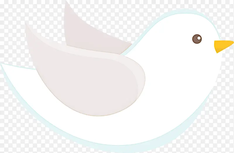 白色 鸟 喙