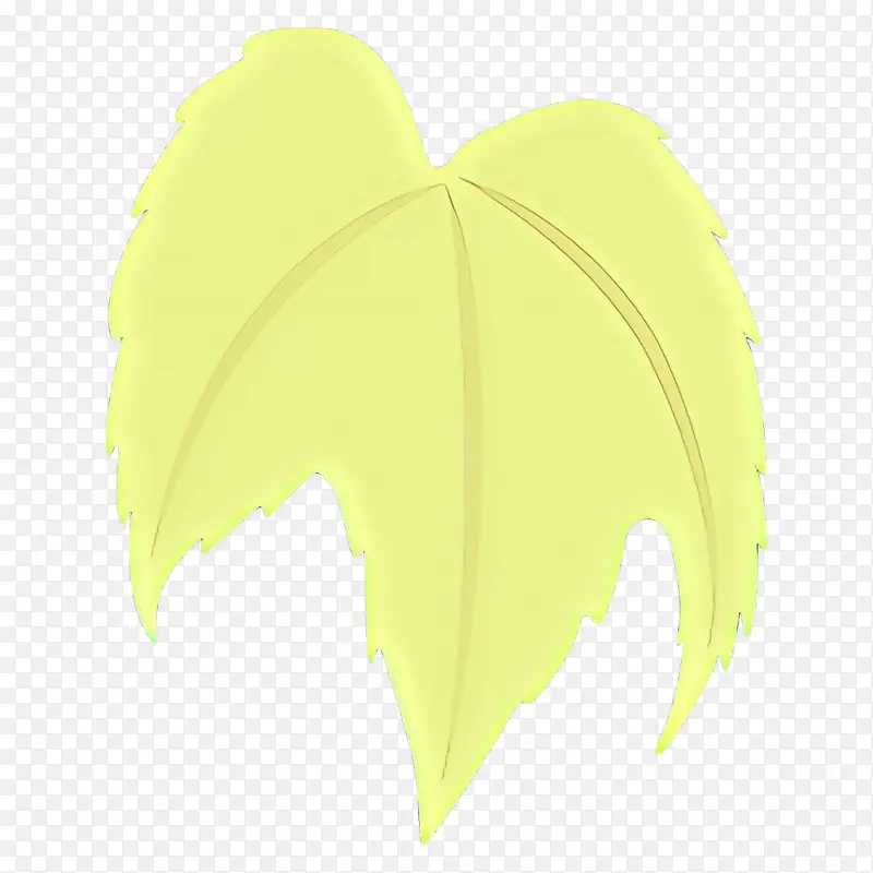 叶子 黄色 植物