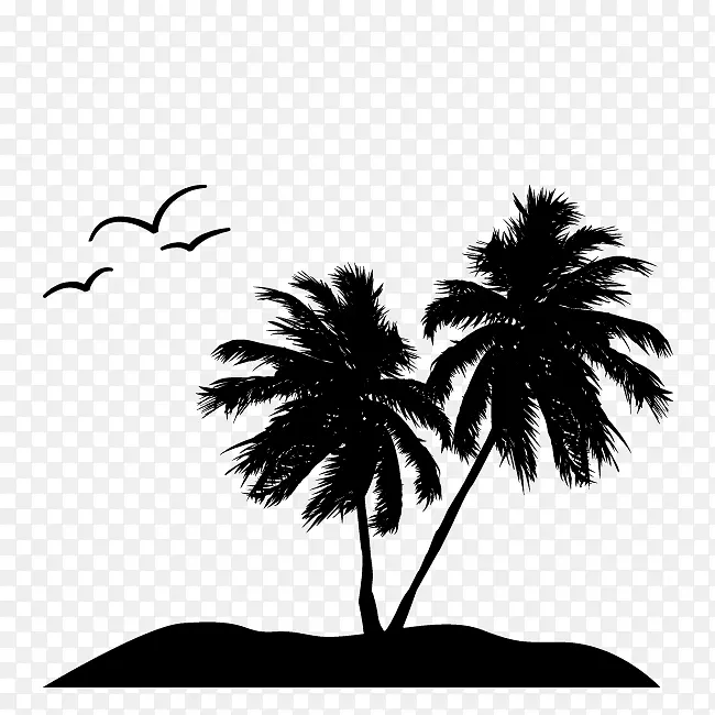树 棕榈树 黑白