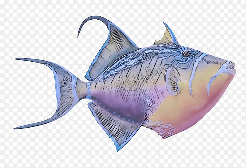 鱼 三角鱼 深海鱼