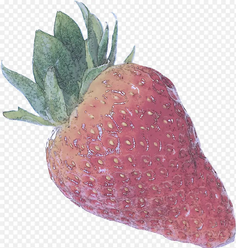 草莓 水果 附属水果