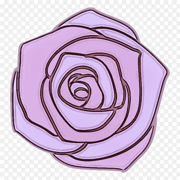 紫色 粉色 玫瑰