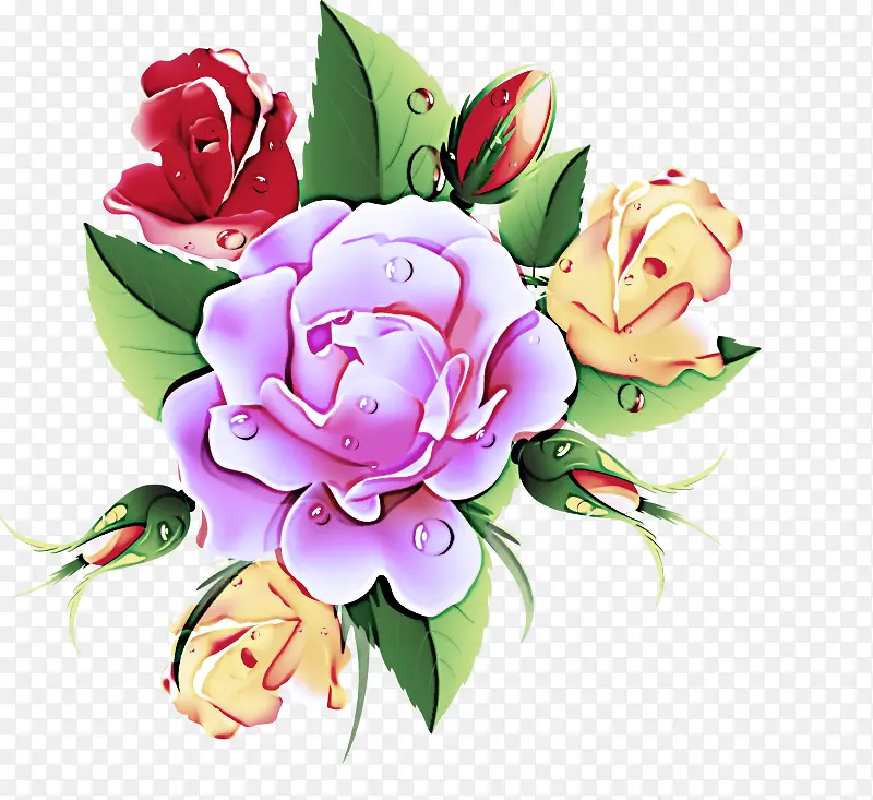 花朵 粉色 花园玫瑰