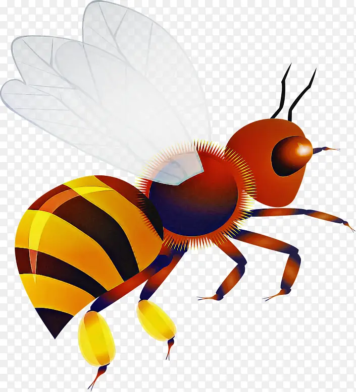 昆虫 害虫 蜜蜂