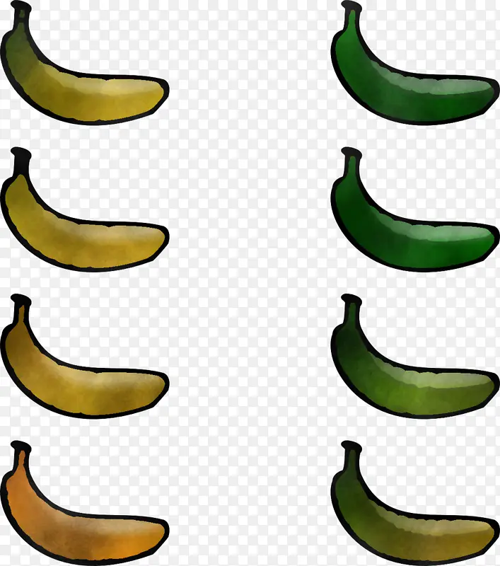 香蕉 香蕉家族 萨巴香蕉