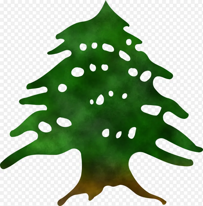科罗拉多云杉 圣诞树 绿色