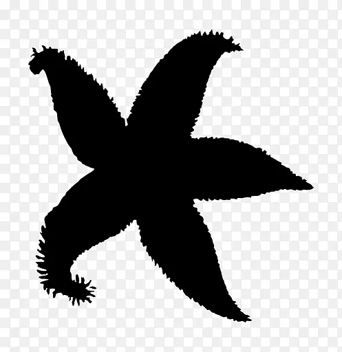 鸟 黑白 符号
