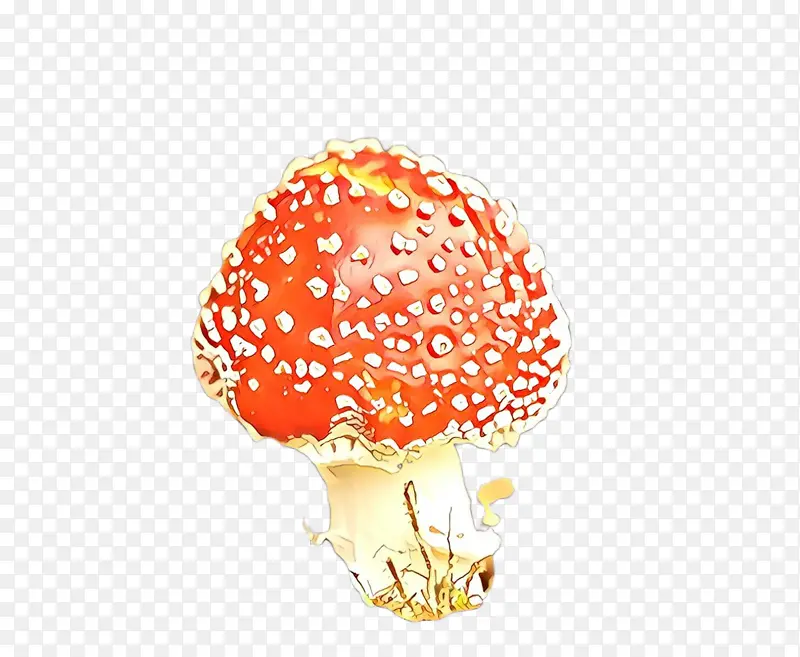橙子 木耳 蘑菇