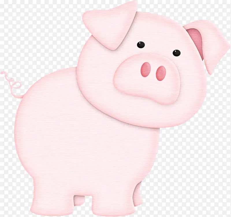 粉红 小猪银行 猪科
