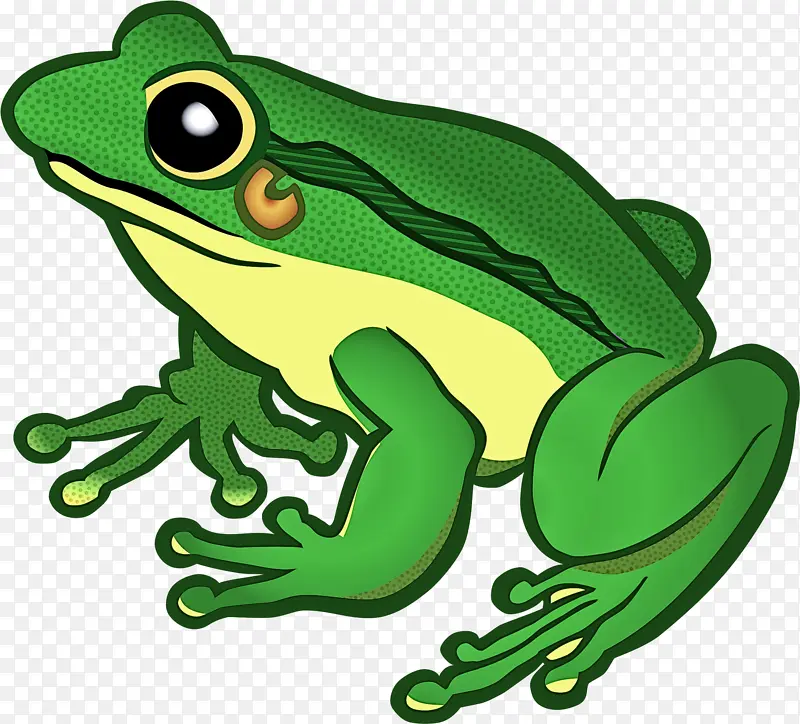 青蛙 真青蛙 海拉