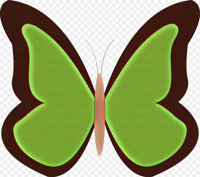 绿色 蝴蝶 昆虫