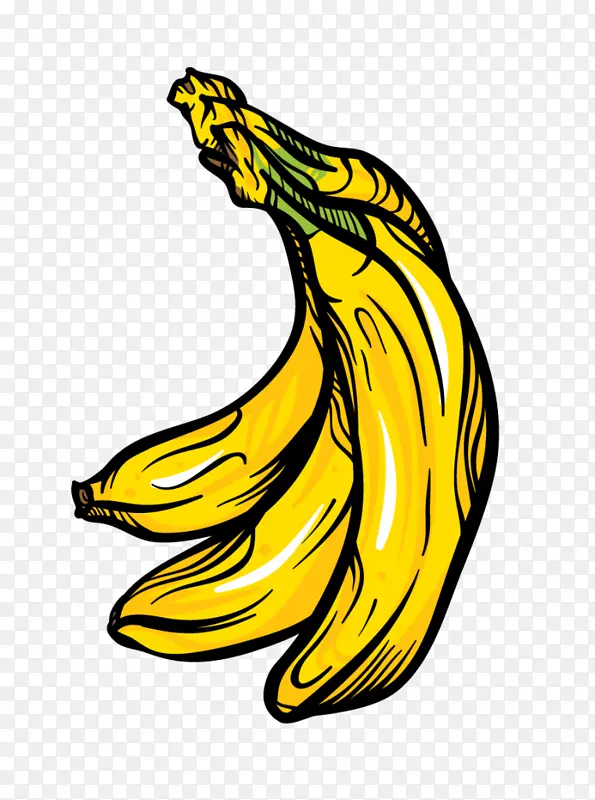 香蕉 黄色 香蕉家族