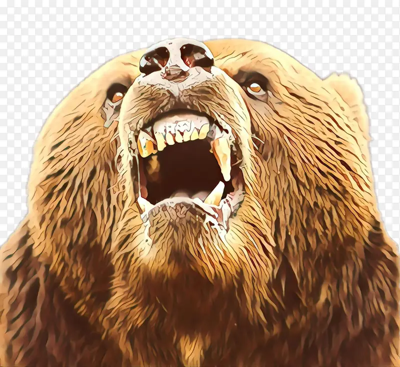 棕熊 灰熊 面部表情