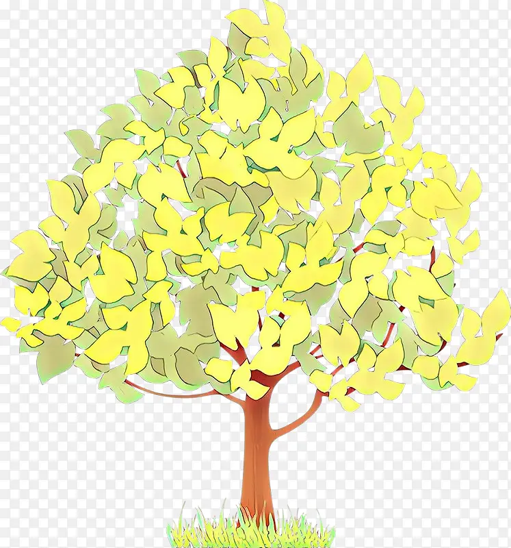 黄色 树 植物