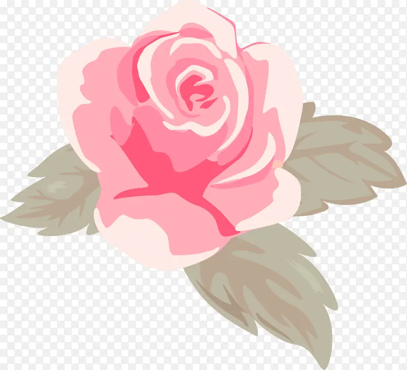 粉色玫瑰 水彩玫瑰 婚礼请柬花