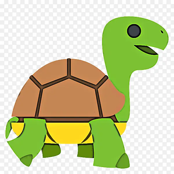 龟 绿 爬行动物