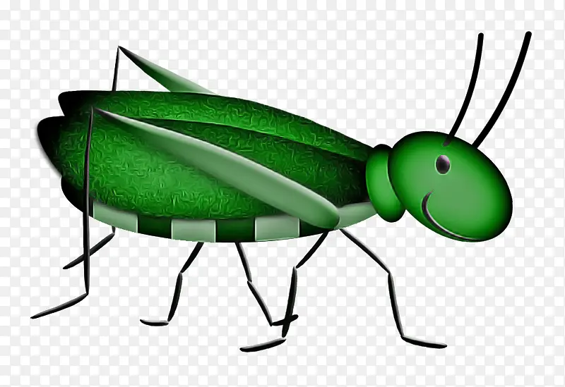 昆虫 害虫 蟋蟀状昆虫