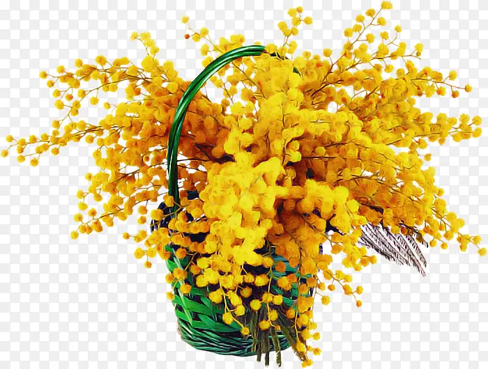 黄色 植物 花朵