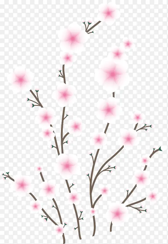 花 粉红色 树枝