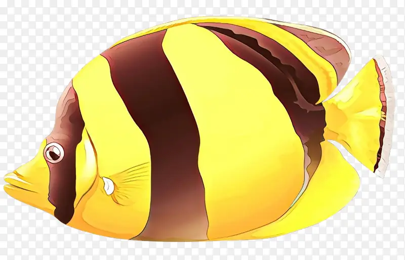 黄色 头盔 蝴蝶鱼