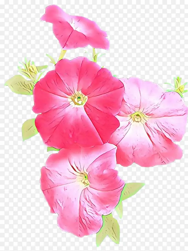 花 花瓣 粉色