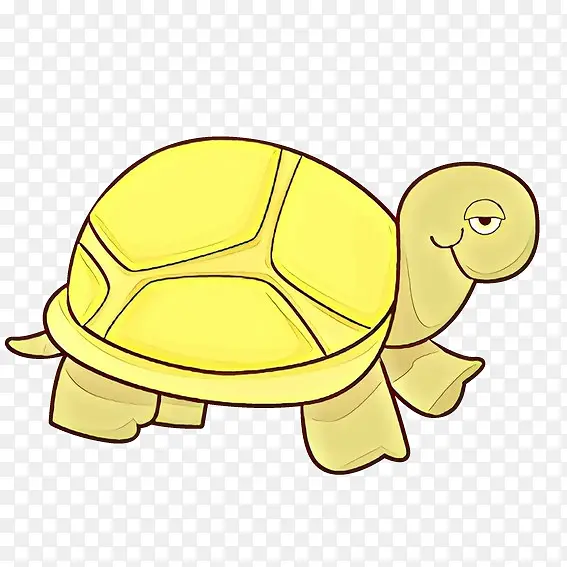 龟 池龟 黄
