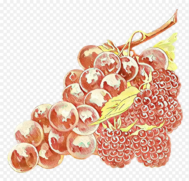 葡萄 水果 食品