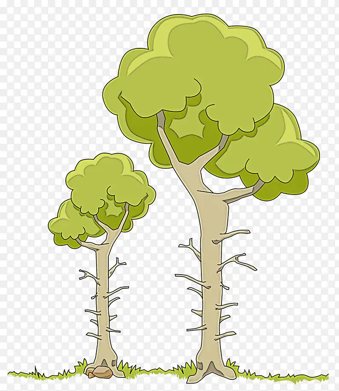 树木 绿色 植物