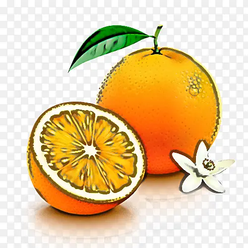 水果 柑橘 葡萄柚