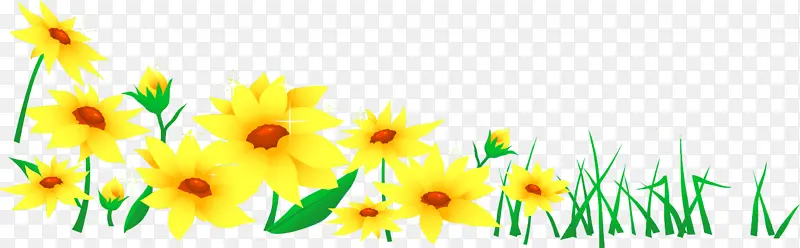 花边 花背景 黄色