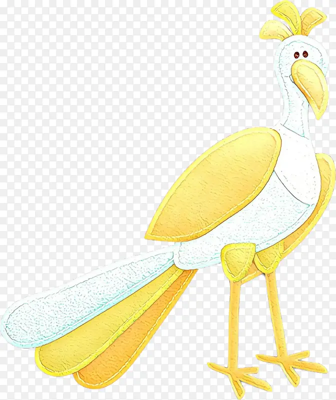 黄色 鸟 喙