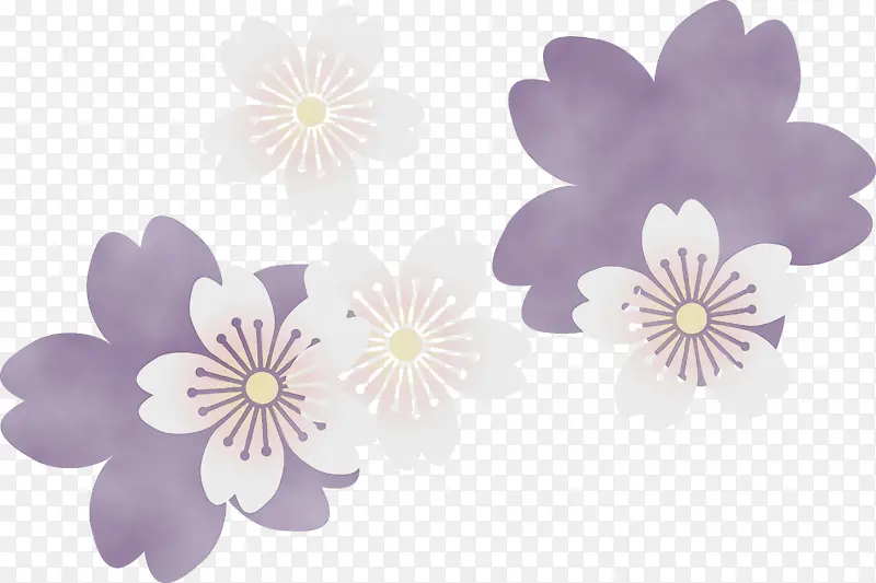 樱桃花 水彩 颜料