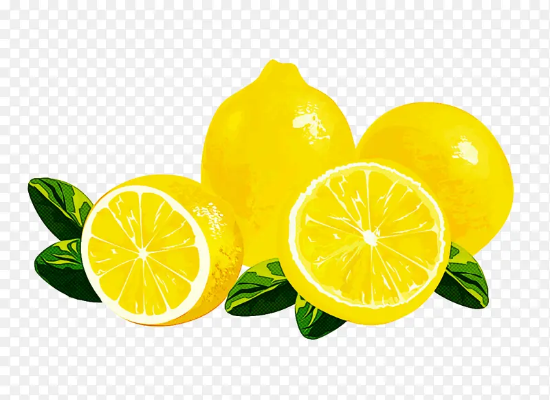 柠檬 柑橘 酸橙