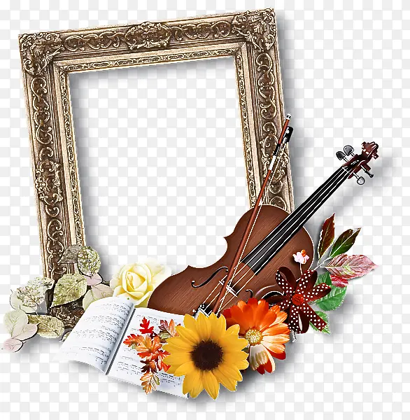 弦乐器 画框 小提琴