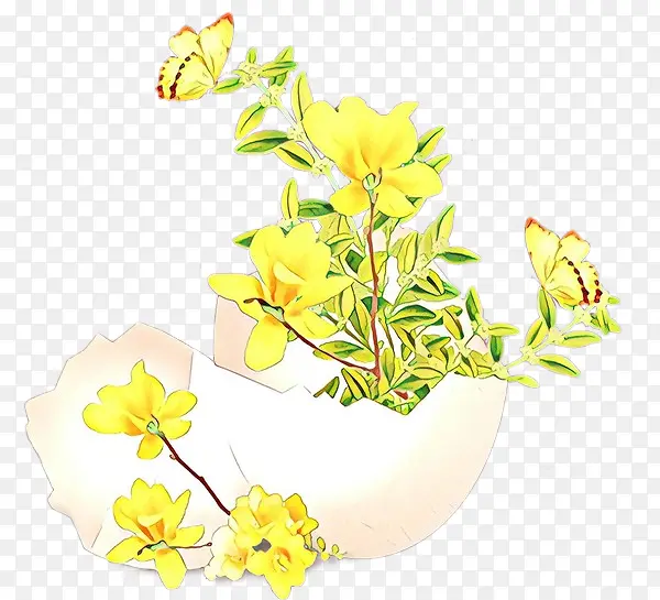 花朵 黄色 植物