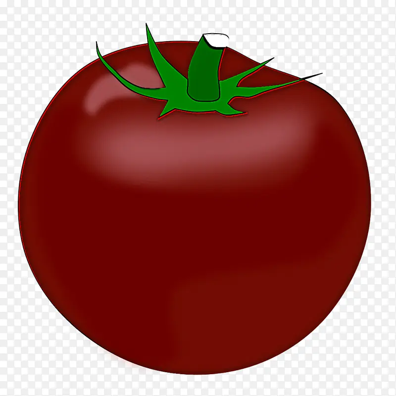 番茄 茄属 水果