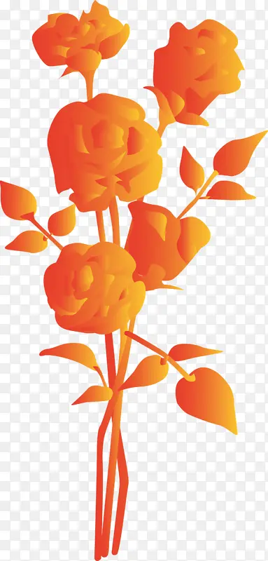 橙子 切花 花
