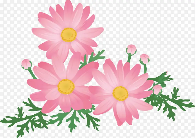 花朵 粉色 花瓣