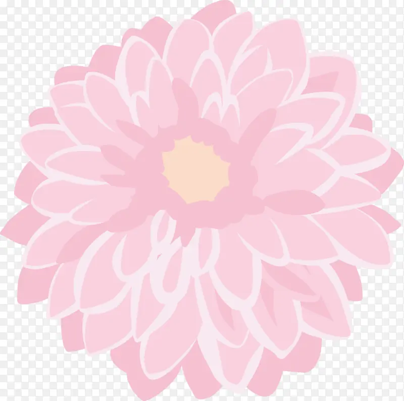 粉色 花朵 花瓣