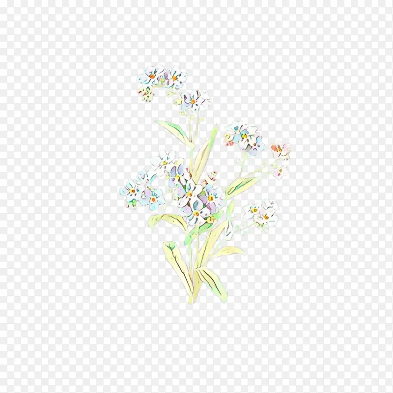 白色 花 植物