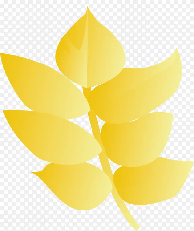 黄色 叶子 植物