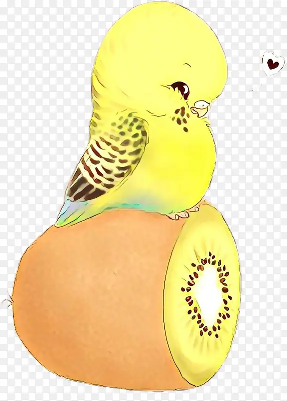 黄色 鸟 鹦鹉