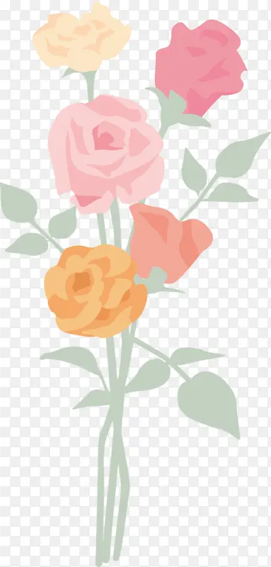 玫瑰 花朵 粉色
