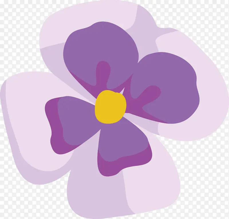 紫罗兰 紫色 花瓣