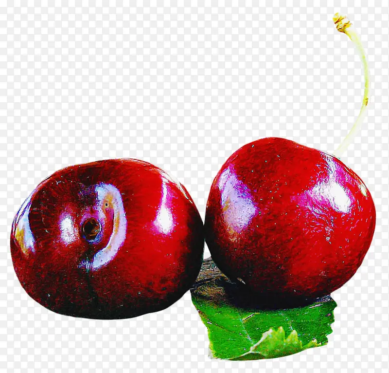 红色 水果 植物