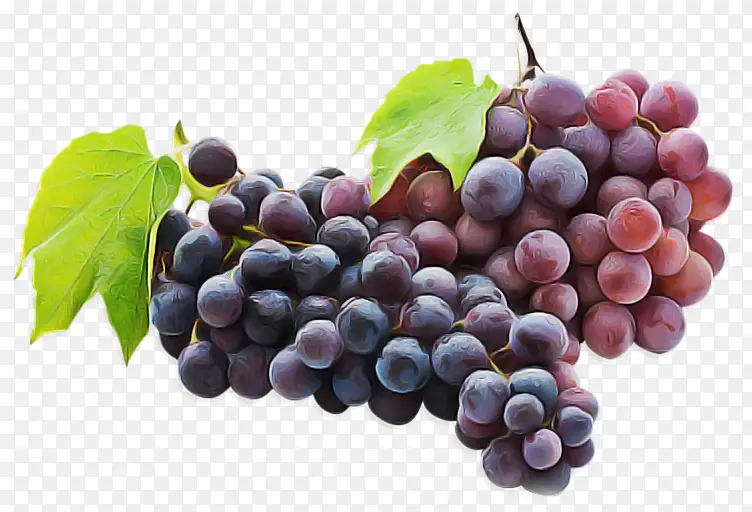 葡萄 水果 天然食品