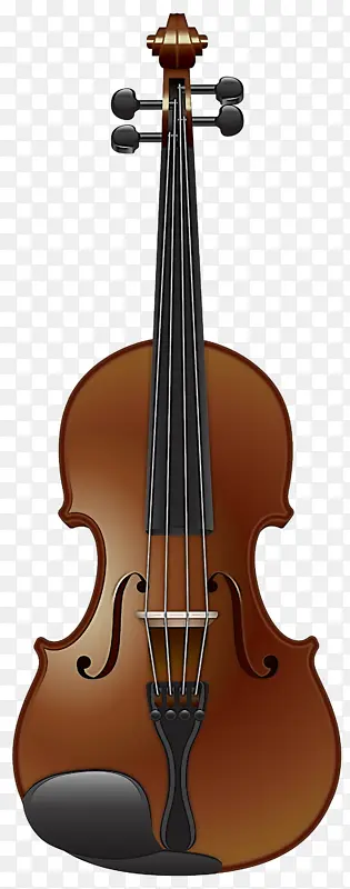弦乐器 乐器 小提琴家族