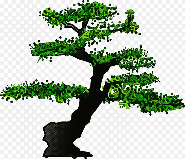 树木 绿色 植物PNG图片素材下载_图片编号6996611-PNG素材网
