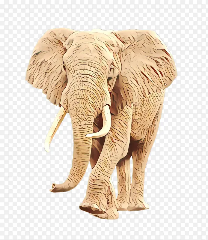 大象 非洲象 印度象